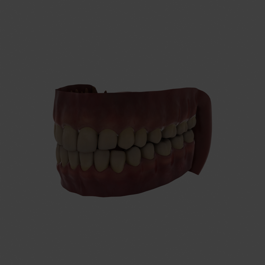 Detailed three-dimensional dental anatomy